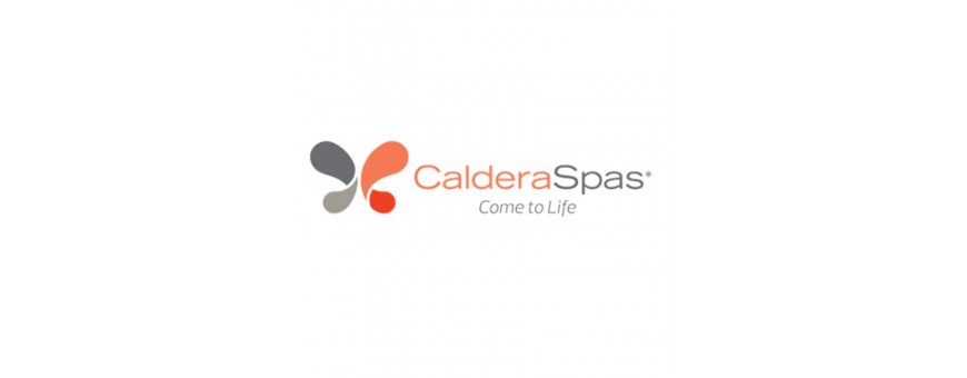 Caldera Spa Teile