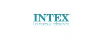 Intex Teile