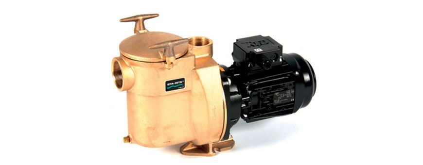 Ersatzteile Pumpe Sta-Rite Bronze 5BR