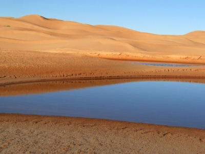 Le sable du Sahara et l'algue moutarde